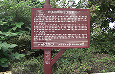 长沙岳麓山风景区标识标牌制作
