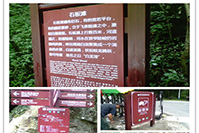 湖南炎陵神龙谷森林公园标识标牌制作安装项目完工