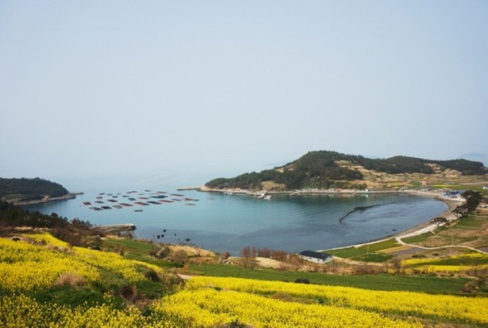 喜讯：美景创意与湘阴青山岛签订景区标识系统合同