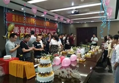 2017美景创意五月生日会